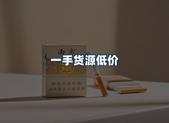 专业团队办公环境